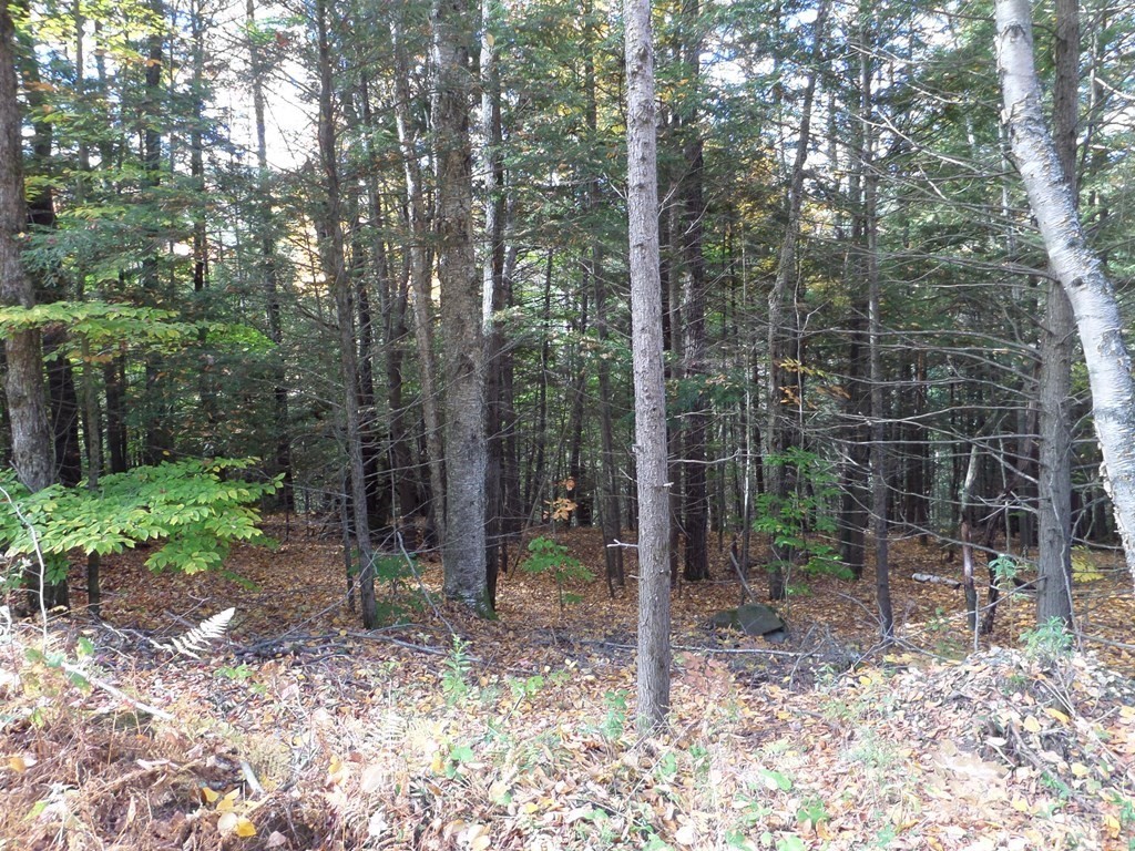 תמונה של הנכס: 0 Thayer Hill Rd, Worthington