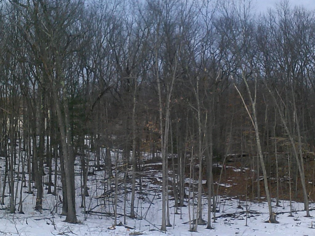 0 Silver St, Agawam, MA 01001