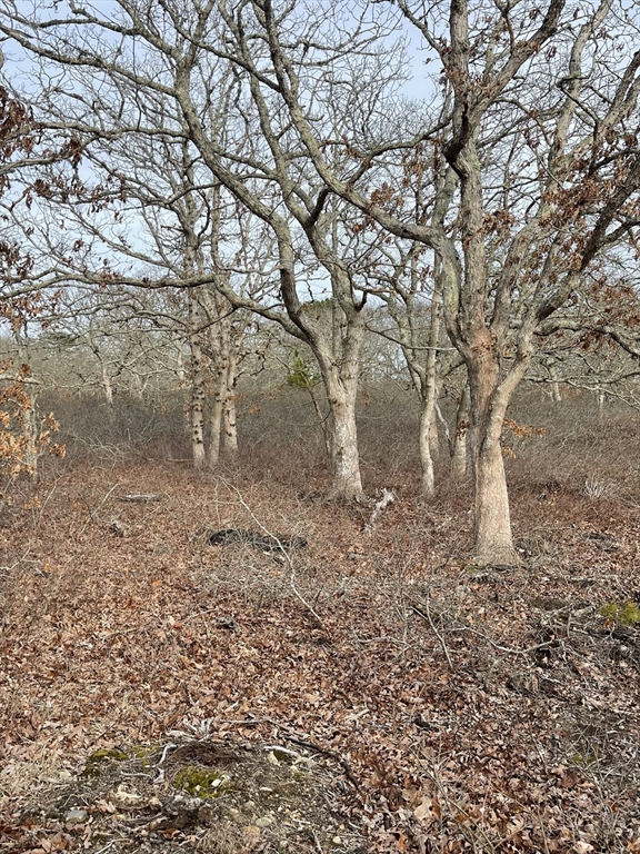 תמונה של הנכס: 22 Bramble Path, West Tisbury