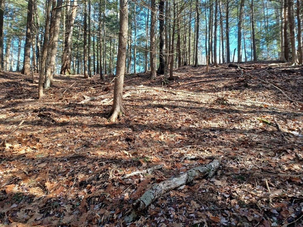 תמונה של הנכס: 296 Northwest Road, Westhampton
