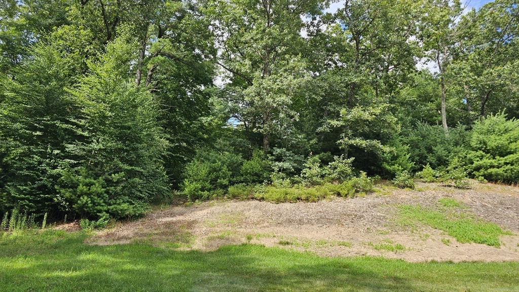 תמונה של הנכס: 0 Mcgill Ln, Milford