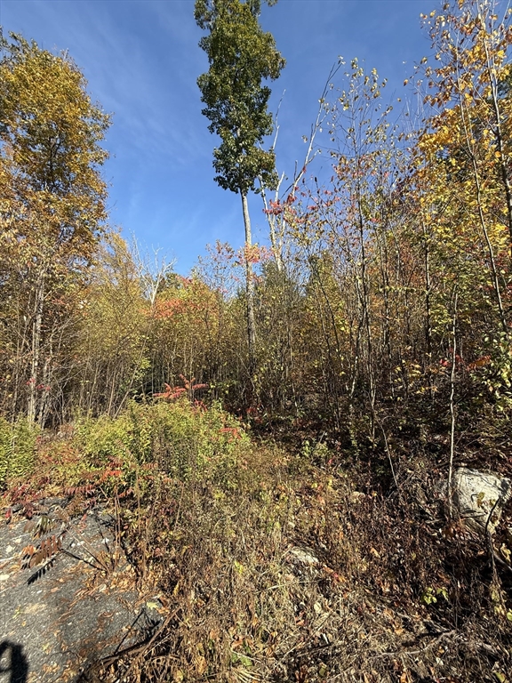 房源照片：Lot 1 Amherst Rd., Belchertown
