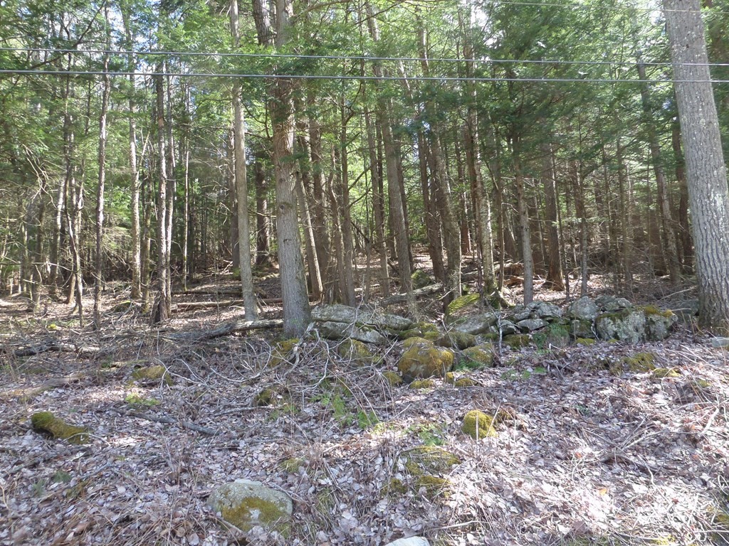 תמונה של הנכס: LOT 1 Thayer Hill Road, Worthington