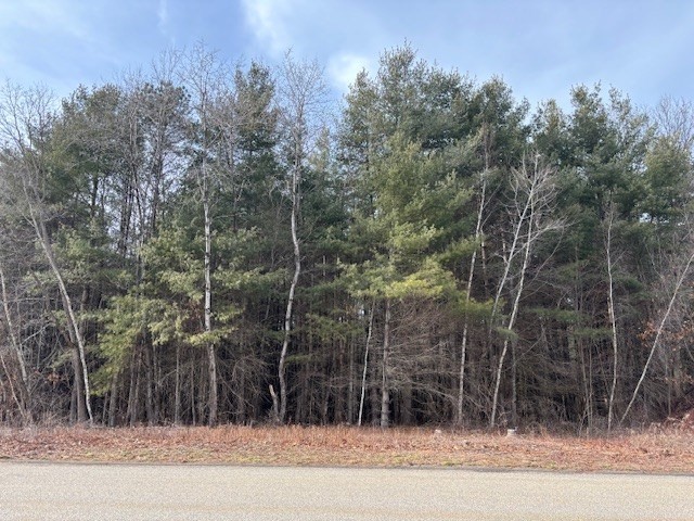 תמונה של הנכס: 79 Favorite Ln, East Longmeadow
