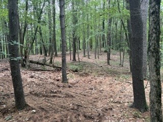 תמונה של הנכס: Lot B Willow Road, Boxford