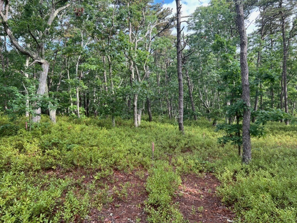 房源照片：37 Oak Valley Rd, Wellfleet