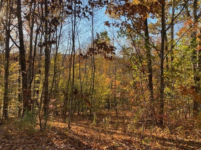תמונה של הנכס: 539 Fox Hill Road, Bernardston