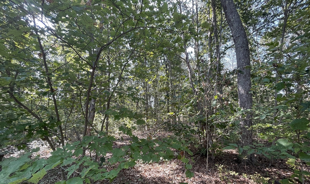 房源照片：156 Rocky Hill Rd, Rehoboth