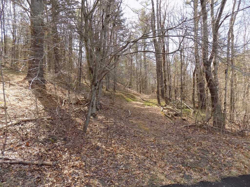 תמונה של הנכס: 0 Summit Hill Rd. Lot 3, Washington