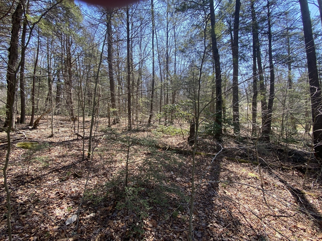房源照片：Lot 43 South Village Rd, Tolland