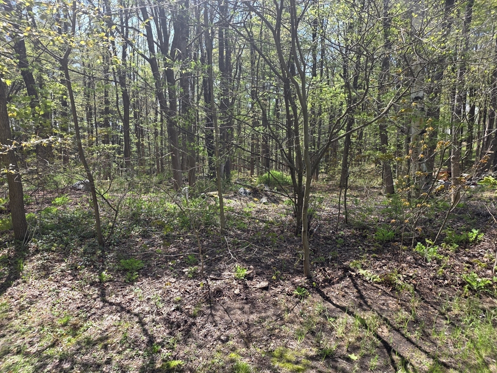 תמונה של הנכס: Lot 1 Winter St, Orange
