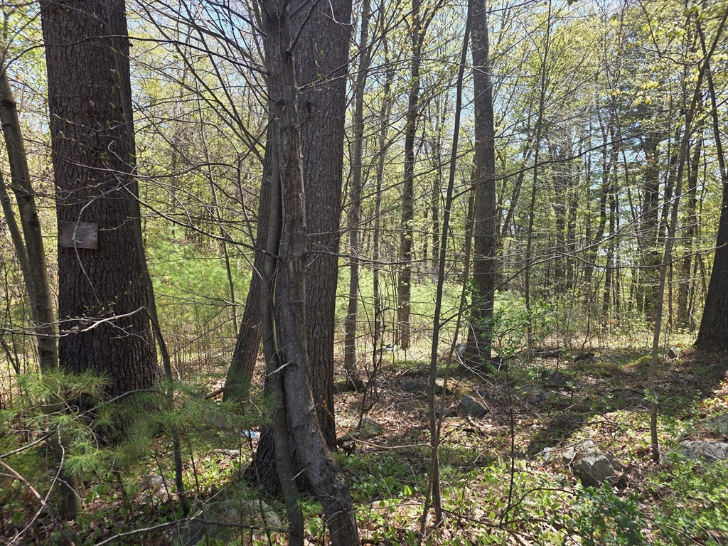 תמונה של הנכס: Lot 2 Beacon St, Orange