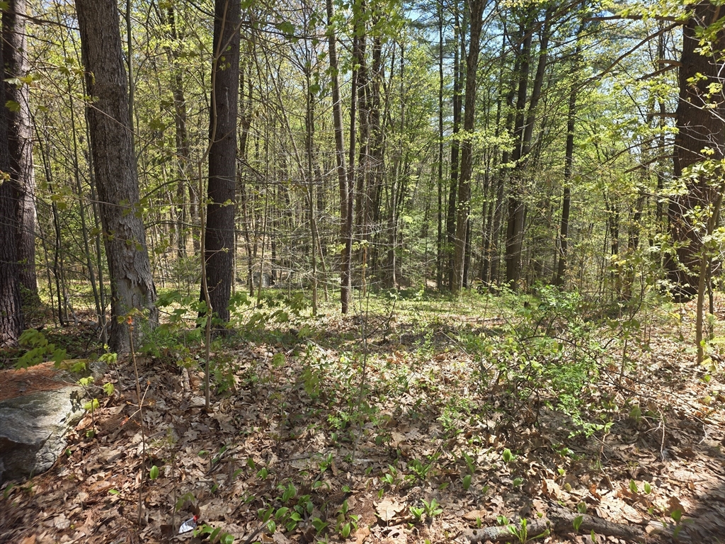 תמונה של הנכס: Lot 3 Beacon St, Orange