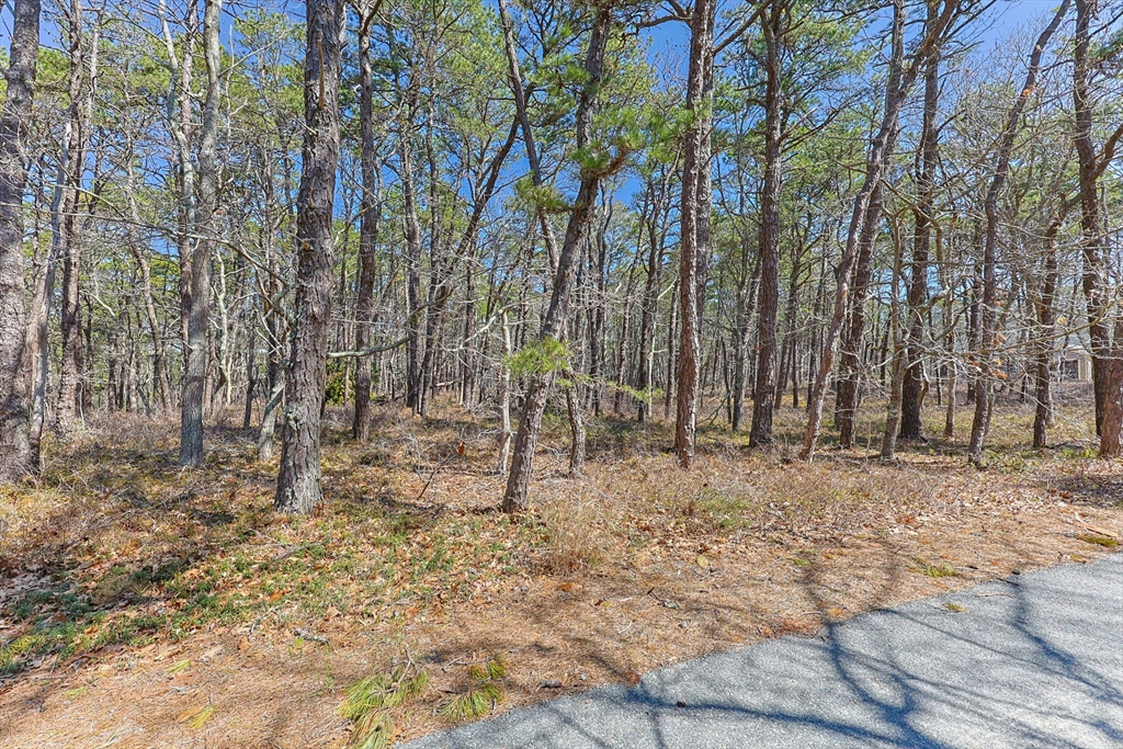 房源照片：175 Delphi Path, Wellfleet