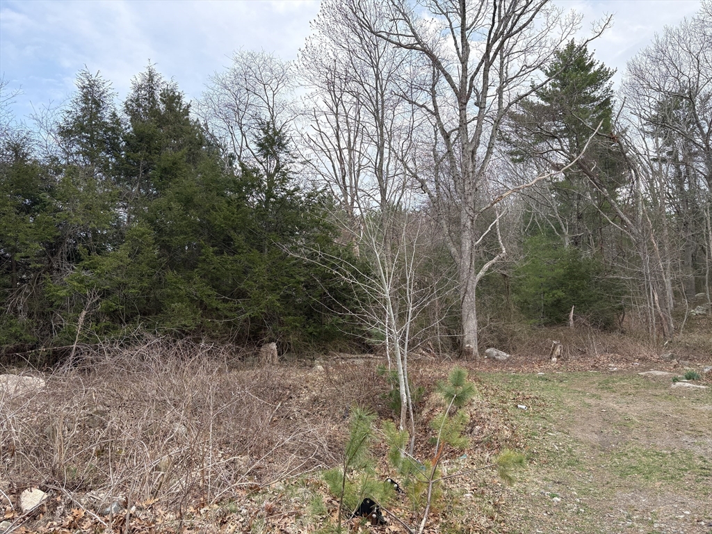 תמונה של הנכס: 79 Woodman St, Gloucester