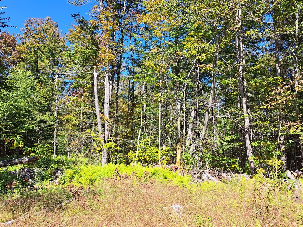 房源照片：Lot "B" Beulah Land RD, Blandford
