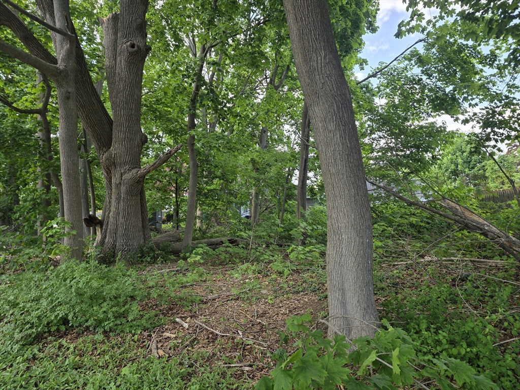 תמונה של הנכס: 0 Dexter Street, Fall River