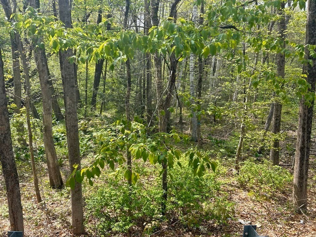 תמונה של הנכס: 45 Fox Hill Rd, Mashpee