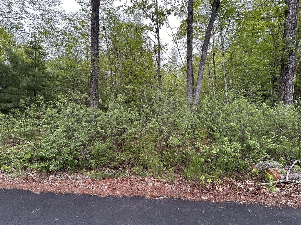 תמונה של הנכס: 0 Lot 2 Stoddard Rd, Winchendon