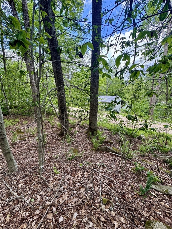תמונה של הנכס: Lot 273 King Richard Dr, Becket