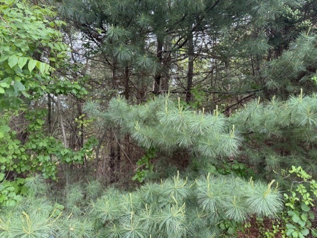 房源照片：0 Marina Dr, Mattapoisett