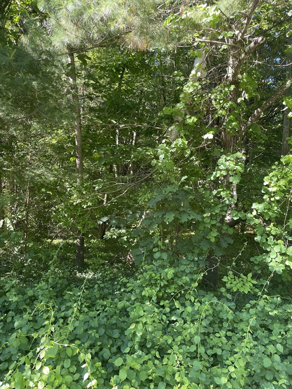 房源照片：Lot A Ware Rd, Belchertown