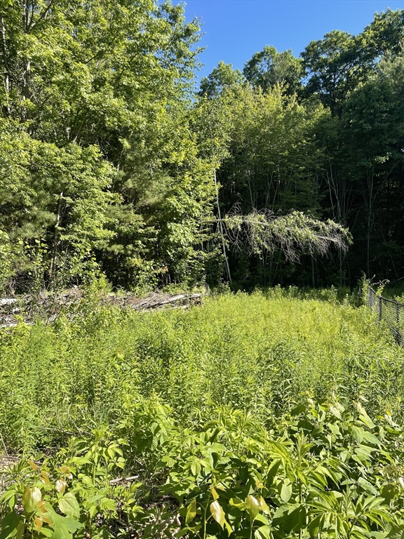 房源照片：Lot D-2 Jason's Way, Belchertown