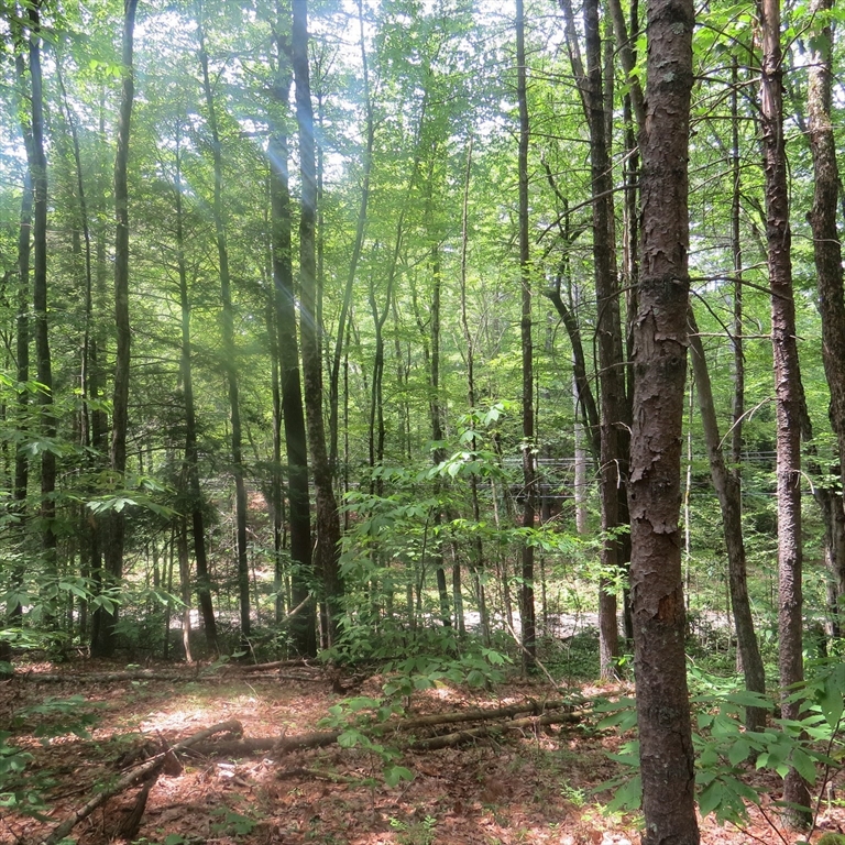 תמונה של הנכס: Lot 1 Pratt Corner Road, Leverett