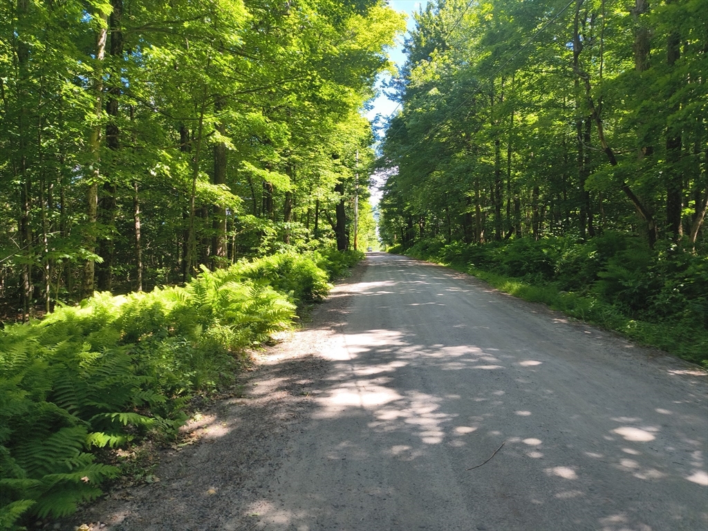 תמונה של הנכס: lot1 Holcomb Road, Chester