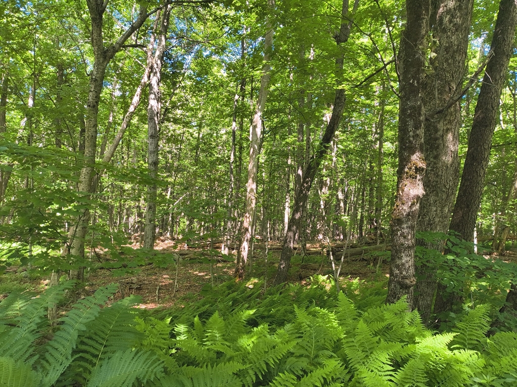 תמונה של הנכס: lot 2 Holcomb Road, Chester