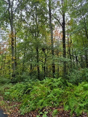 房源照片：0 Blackmer Rd, Southbridge