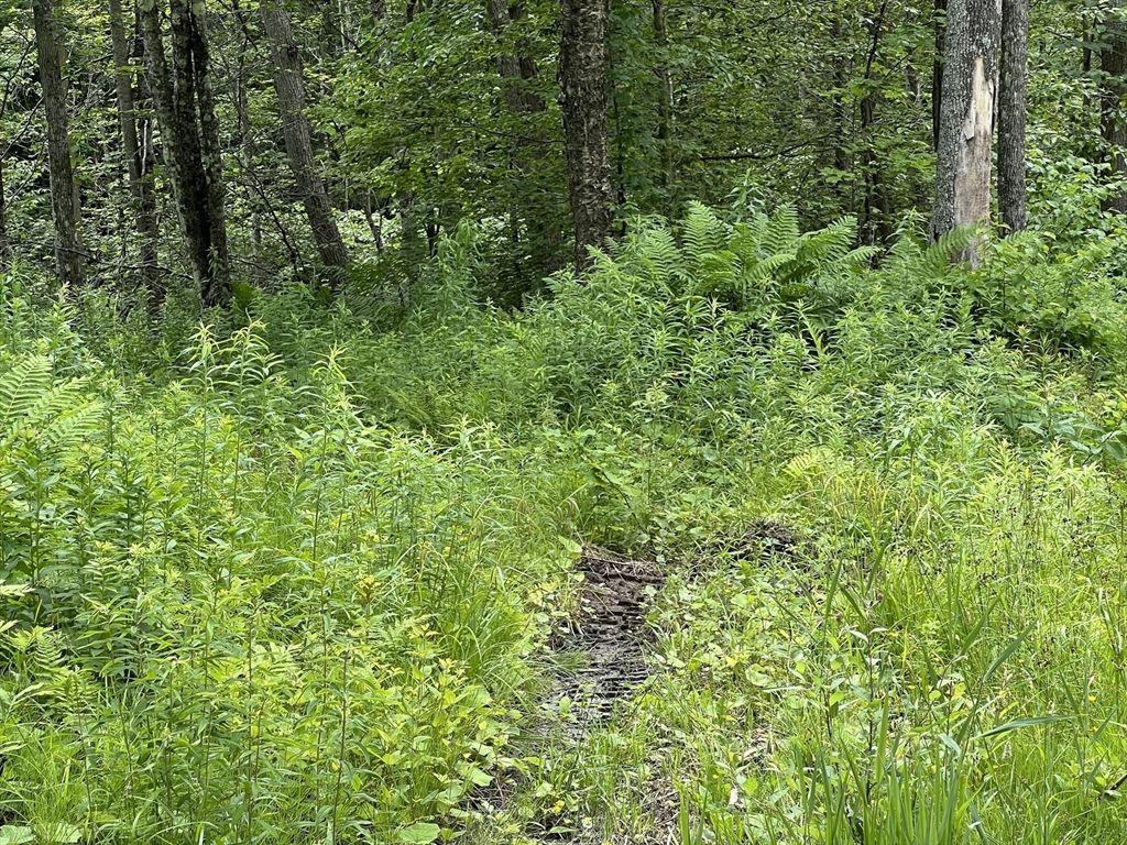 תמונה של הנכס: Lot 21 Becket Rd, Middlefield