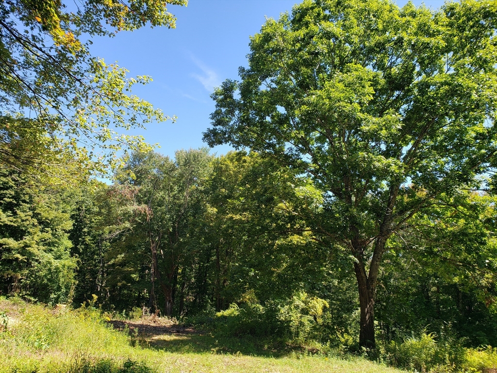 תמונה של הנכס: 0 Harlow Clark Rd., Huntington