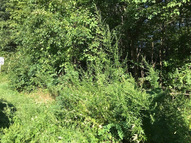 房源照片：145 Winthrop St, Rehoboth