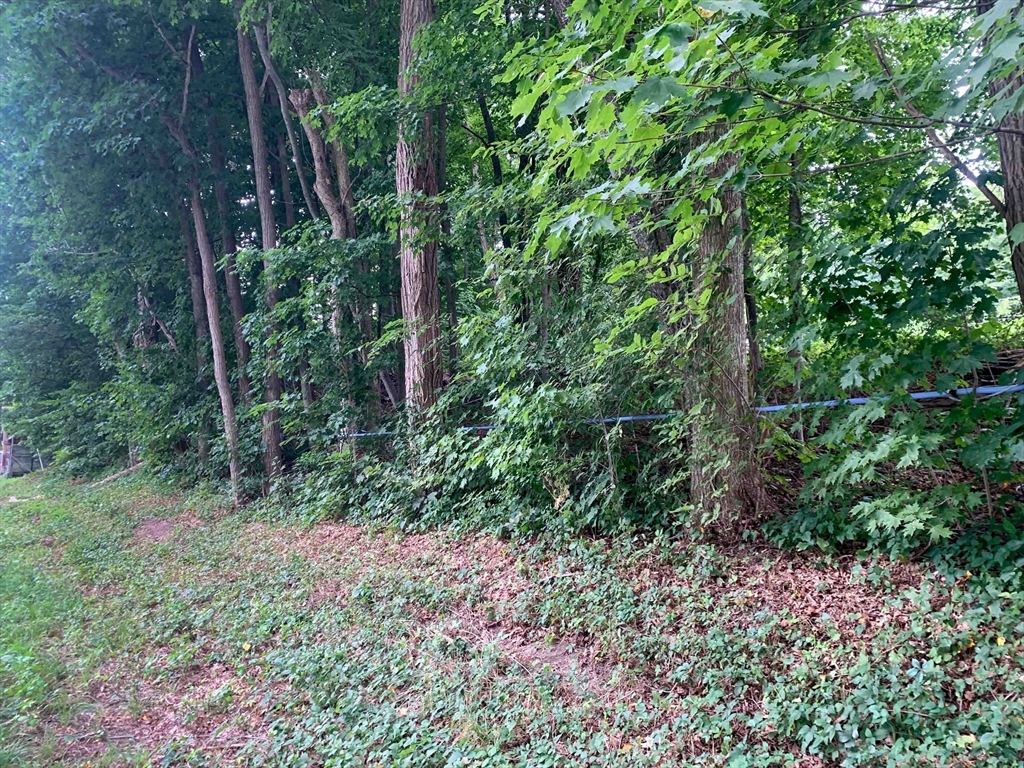 房源照片：0 Chestnut Plain Rd (Ws), Whately