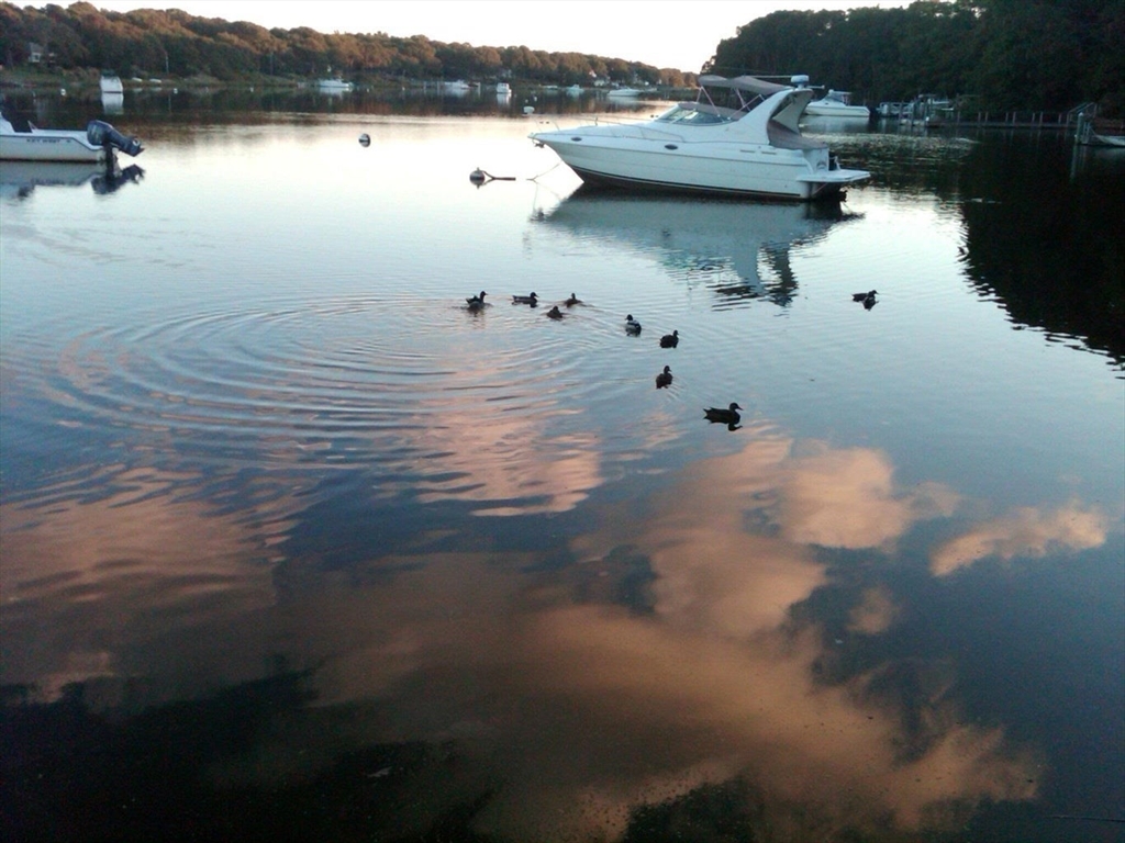 房源照片:66 Woodland Trail, Falmouth