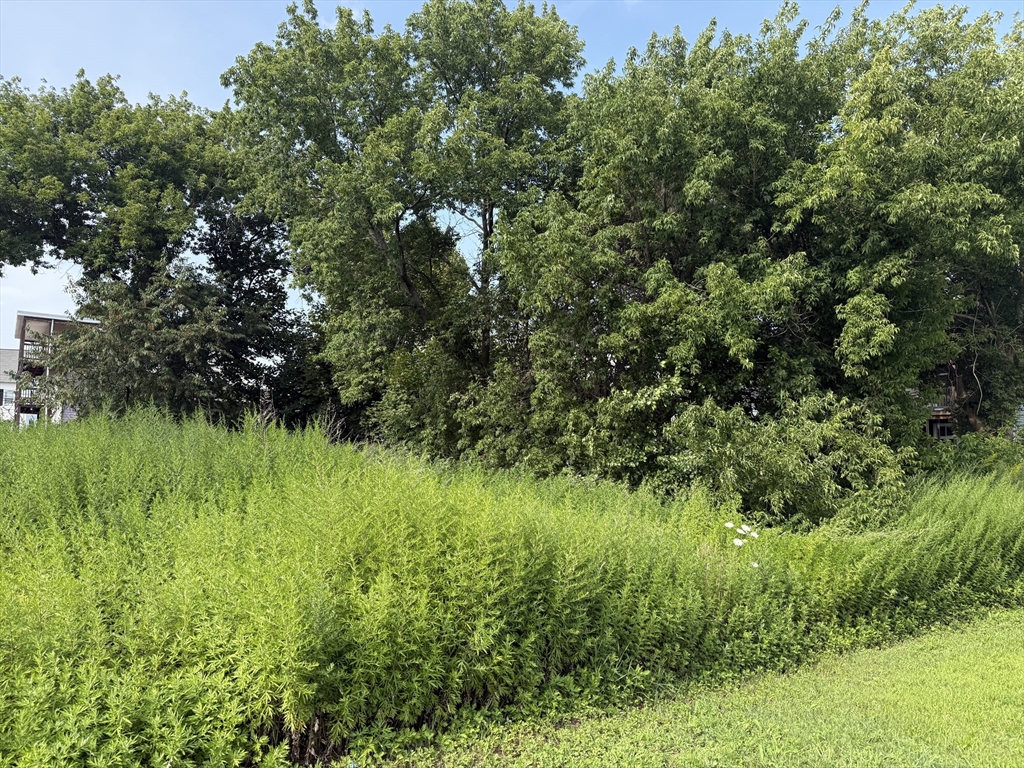 房源照片：0 Thomas St, Southbridge