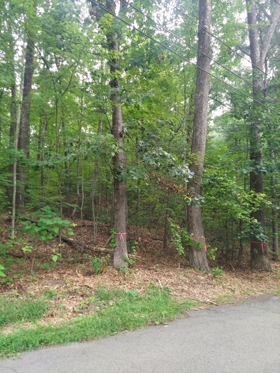 房源照片：1005 Park Hill Road, Northampton