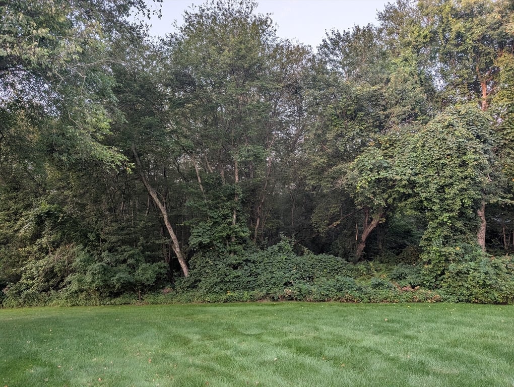 房源照片：139 Meadow Brook Lane, Westport