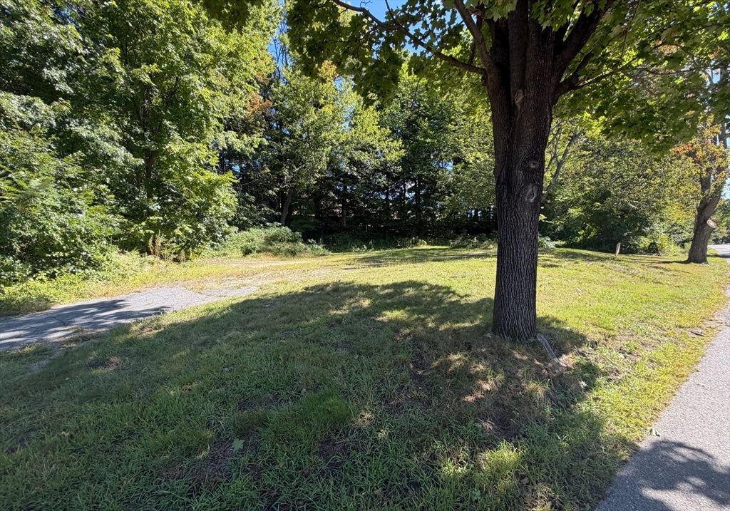 房源照片:51 Rigby St, Clinton