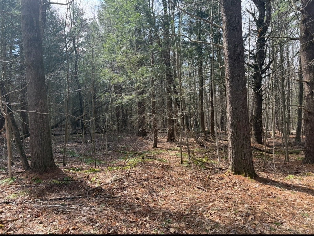 房源照片：0 Island Acres, Blandford