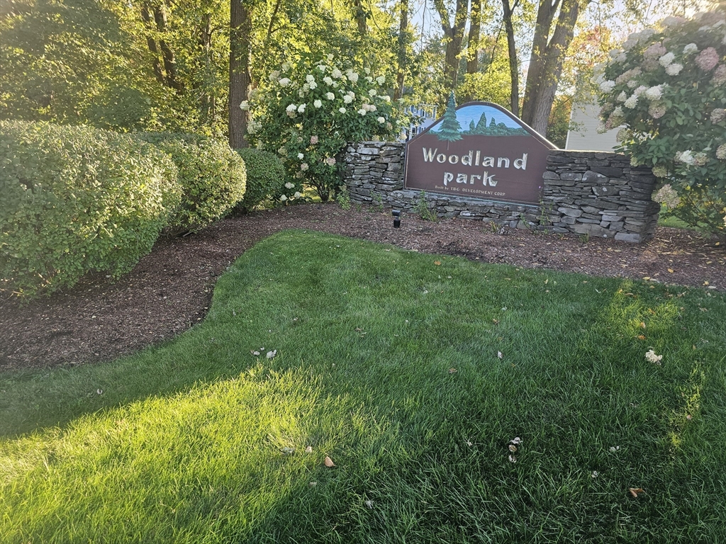 תמונה של הנכס: 92 Swan Street #207, Lowell