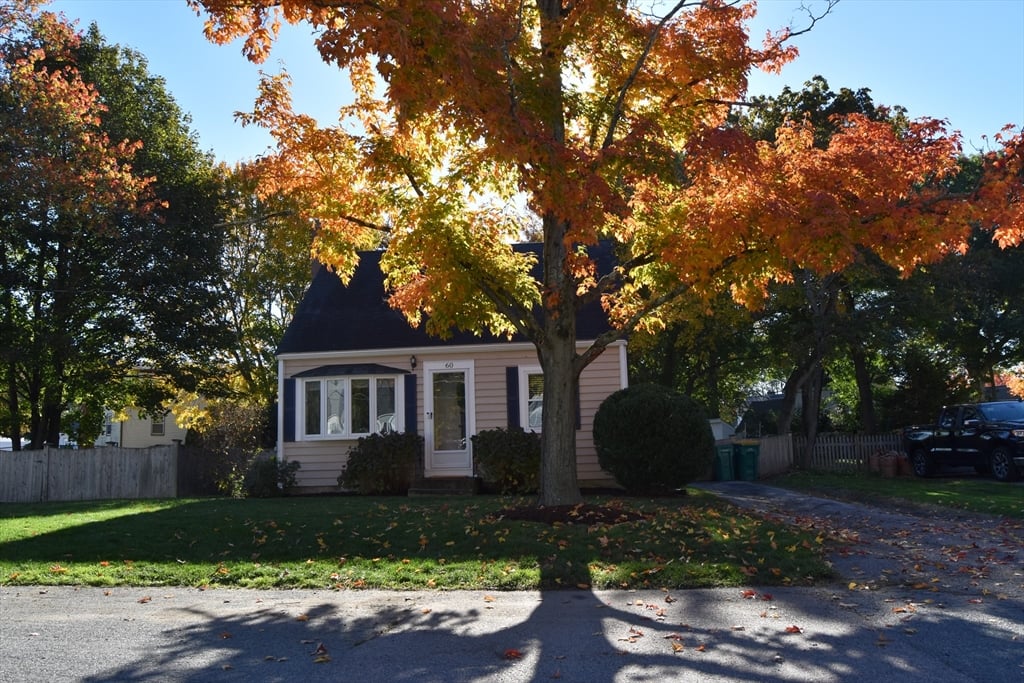 房源照片：60 Sunnyside Road, Norwood