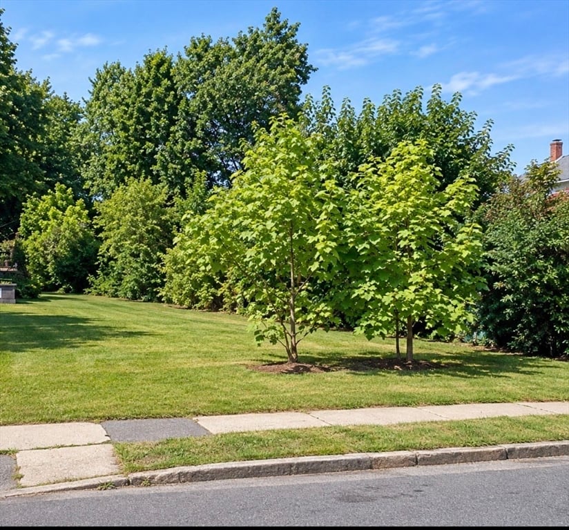 房源照片：0 Olive Ave, Holyoke